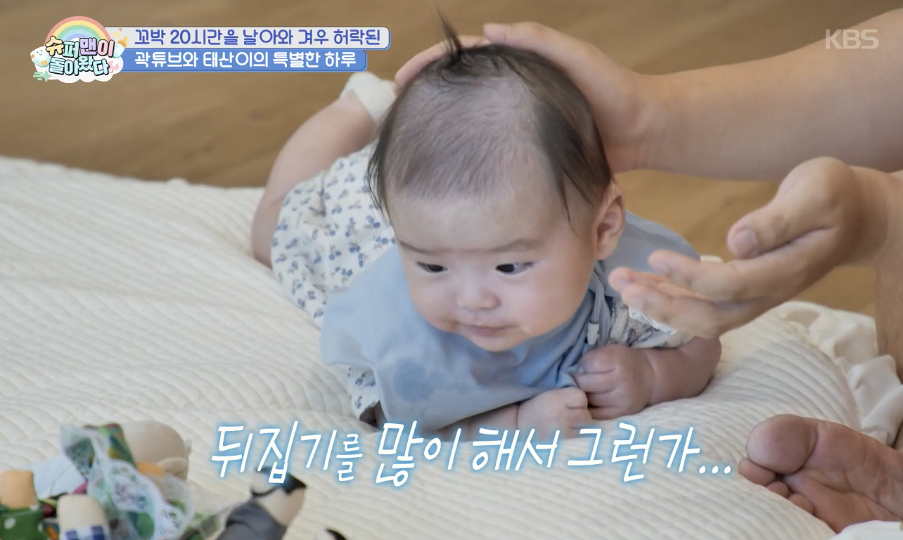 대체 텍스트