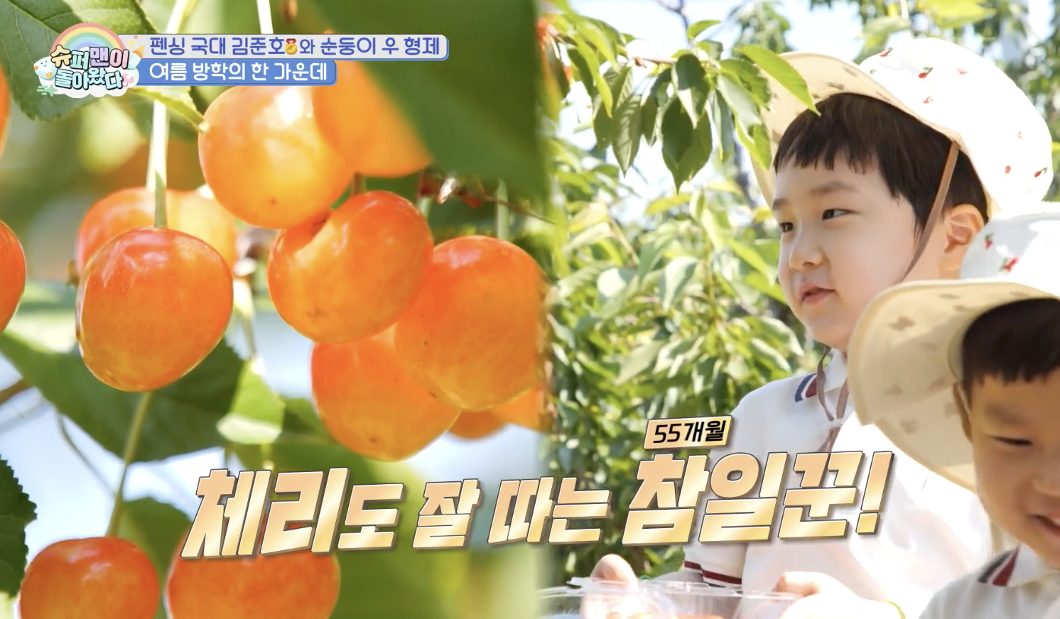 대체 텍스트