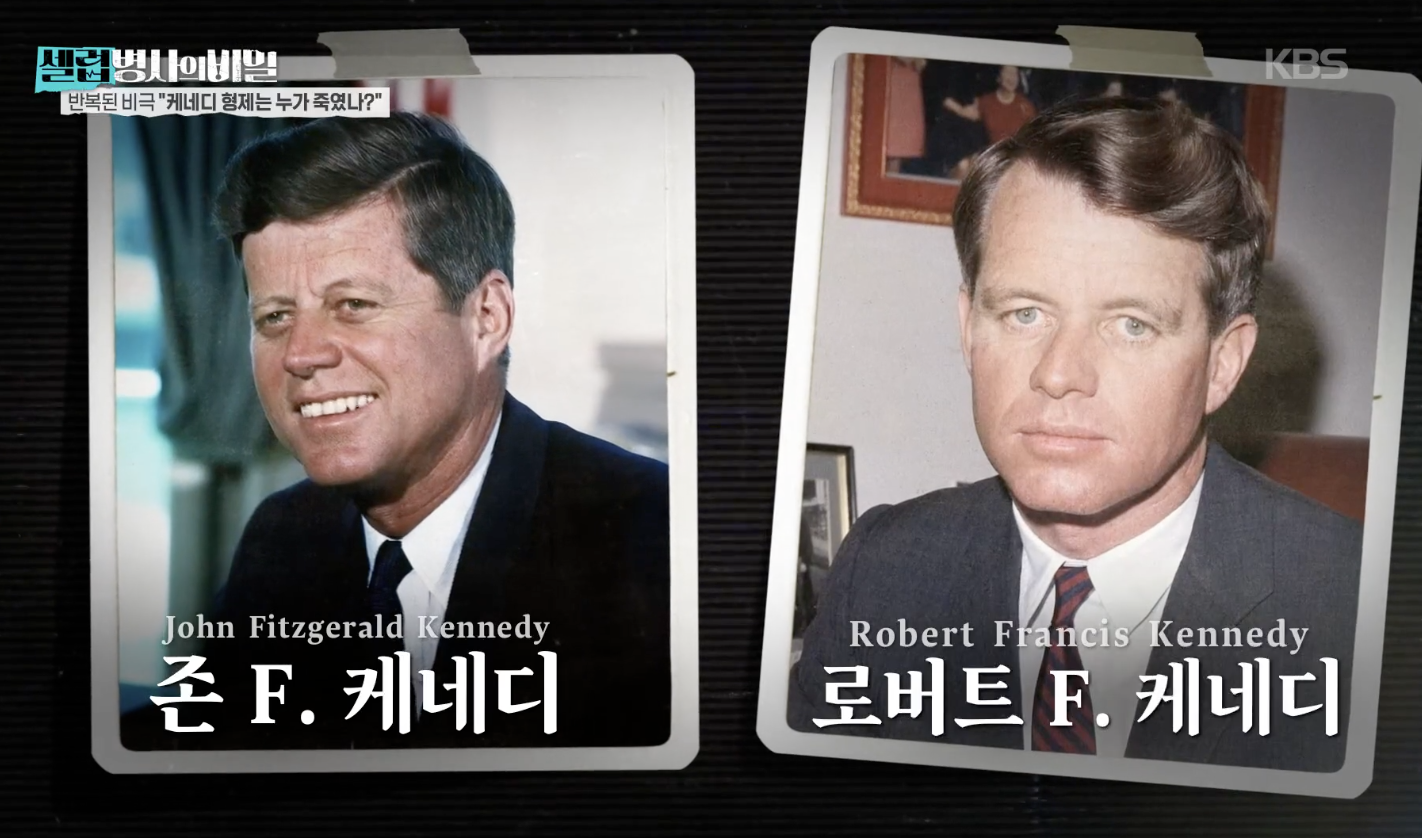 대체 텍스트
