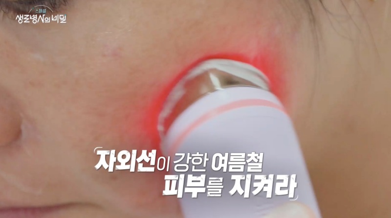 대체 텍스트