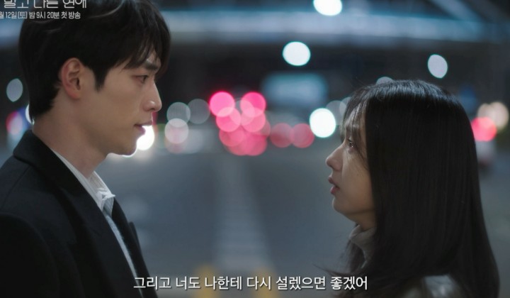 대체 텍스트