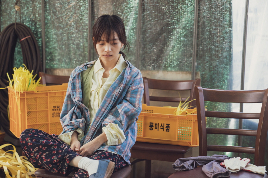 영화 [아침바다 갈매기는] (2024)